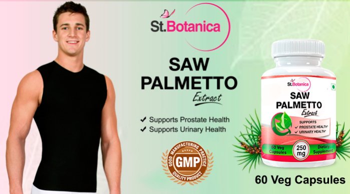 saw-palmetto-1